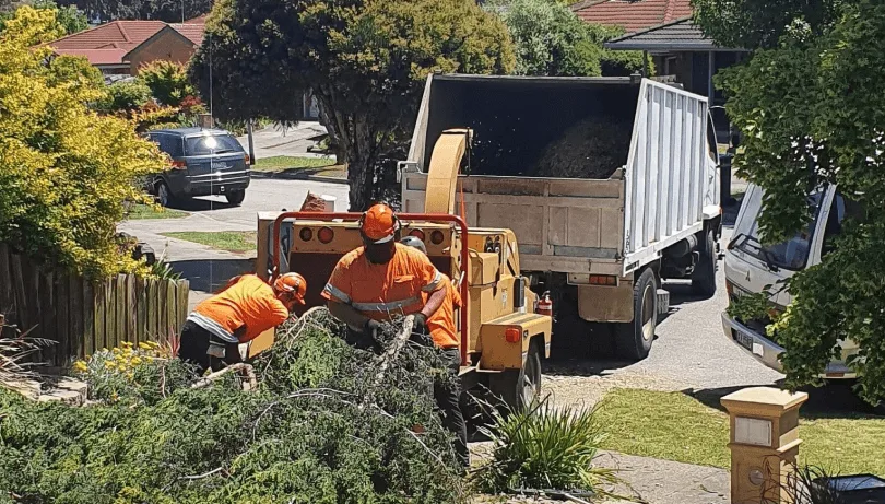 Mulching