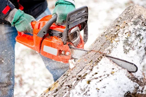 Tree Removals