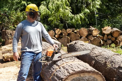 Tree Lopping